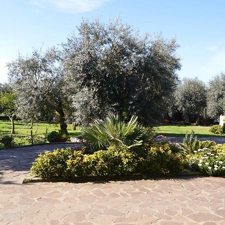Appartamento Tra Collina E Mare Террачина Экстерьер фото